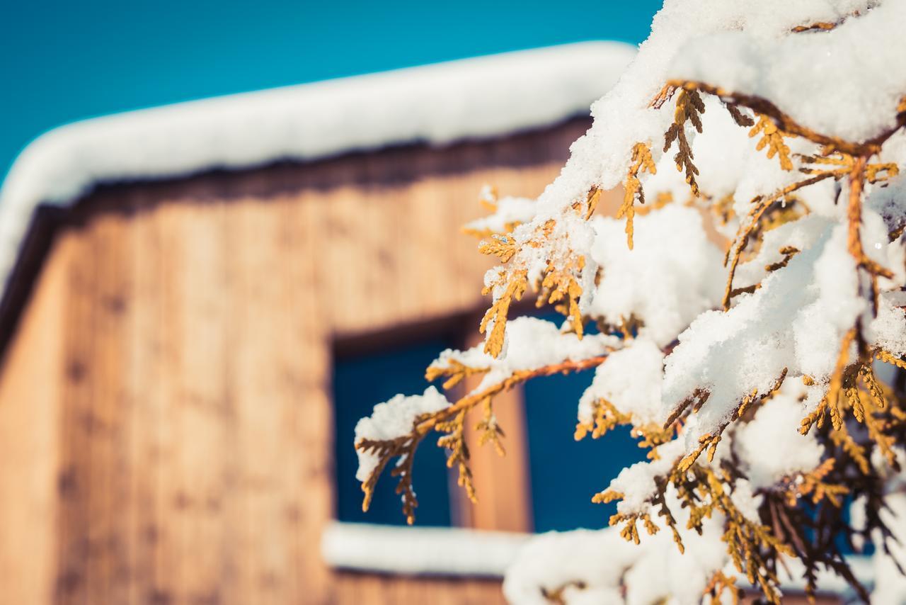Chalets Gränobel Exteriör bild